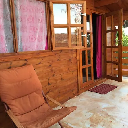 Liverpool 비에스테