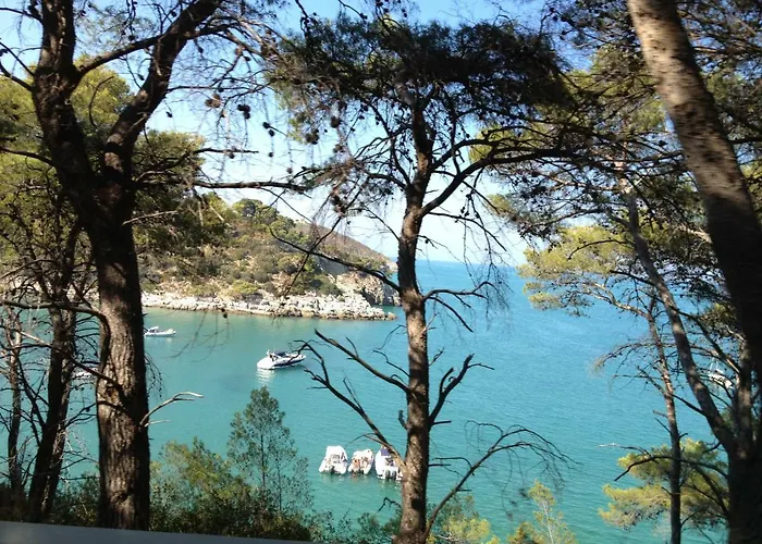 Daire Liverpool Vieste